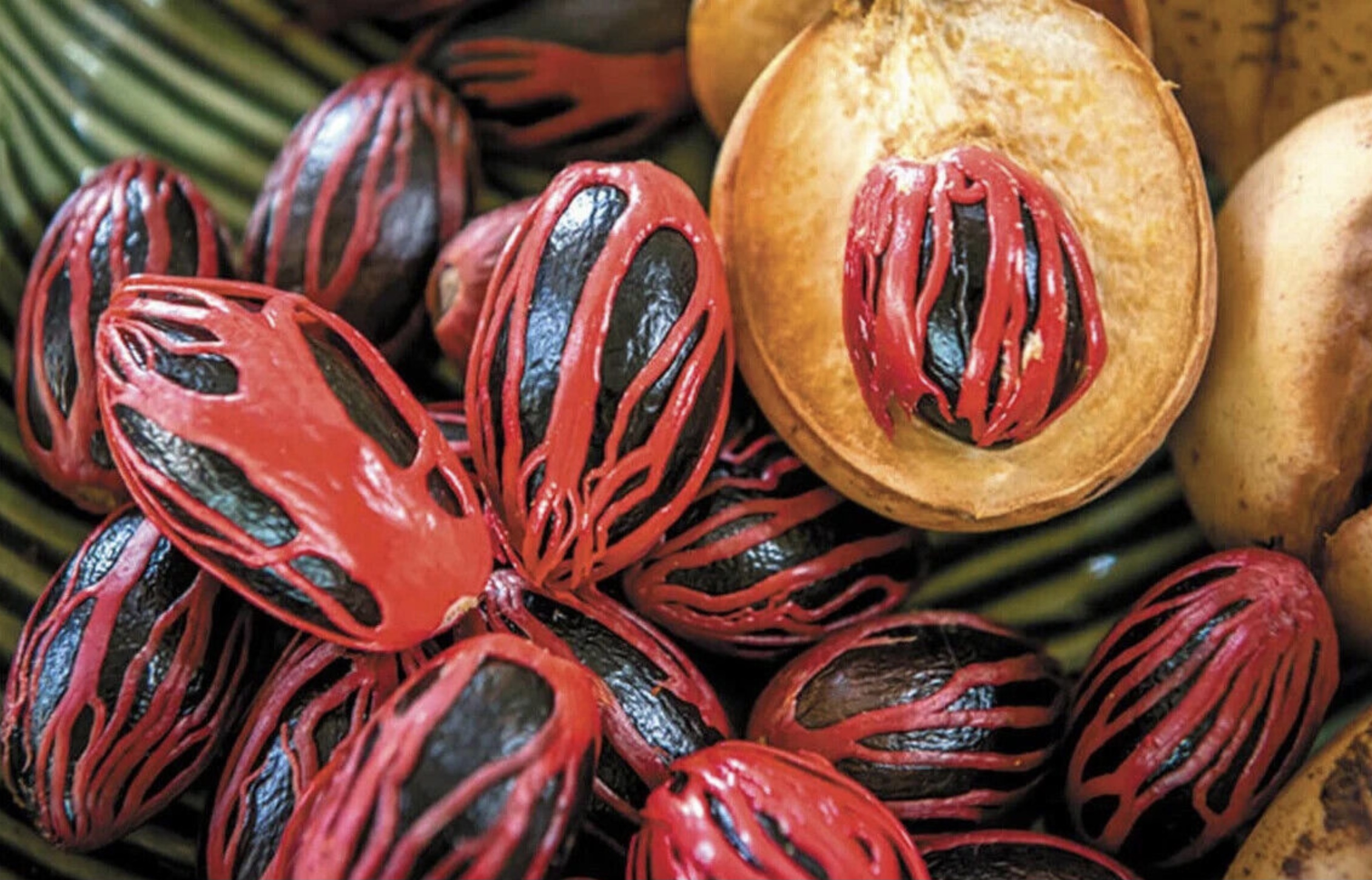 Sorting nutmeg