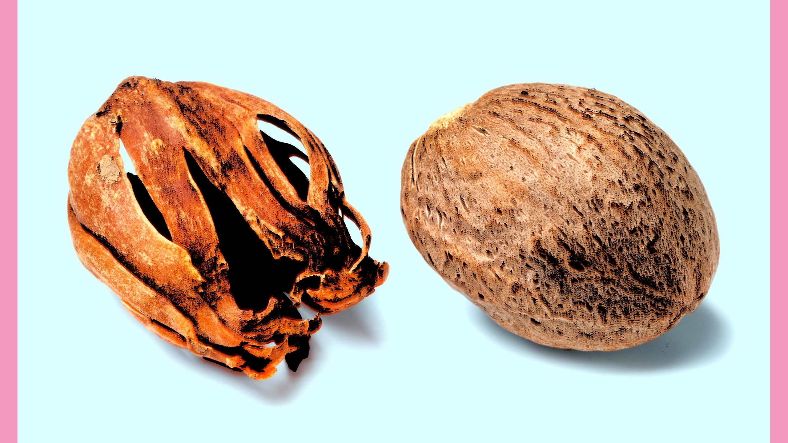 Packed Nutmeg