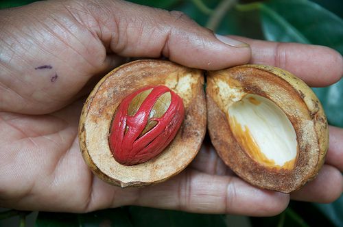 Whole Nutmeg