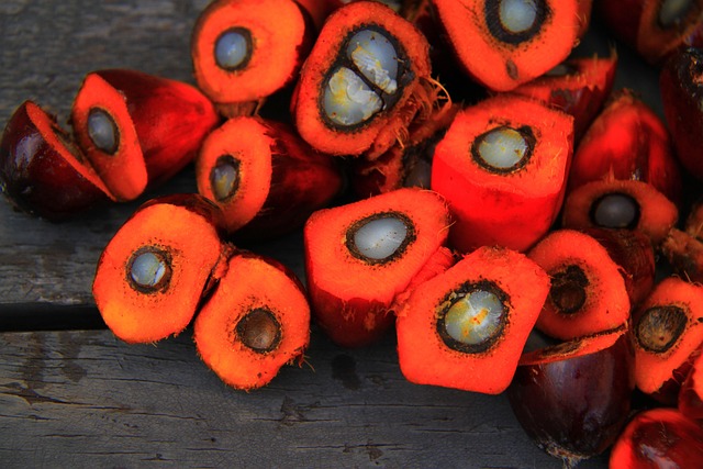 Fresh Palm Fruit Bunches