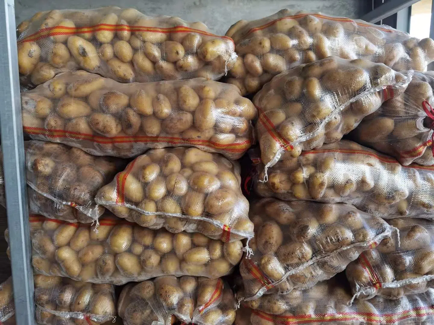 Fresh Table Potatoes