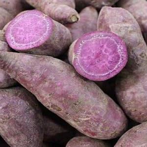 Purple Yam Shipment
