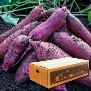 Slicing Purple Yams