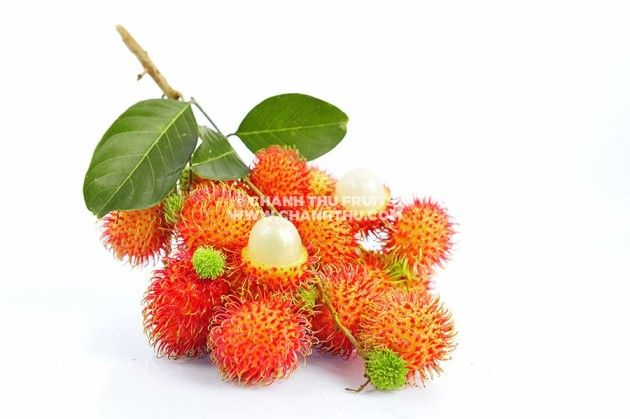 Rambutan Quality Check