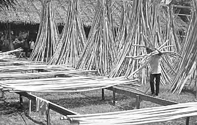 Rattan Packaging