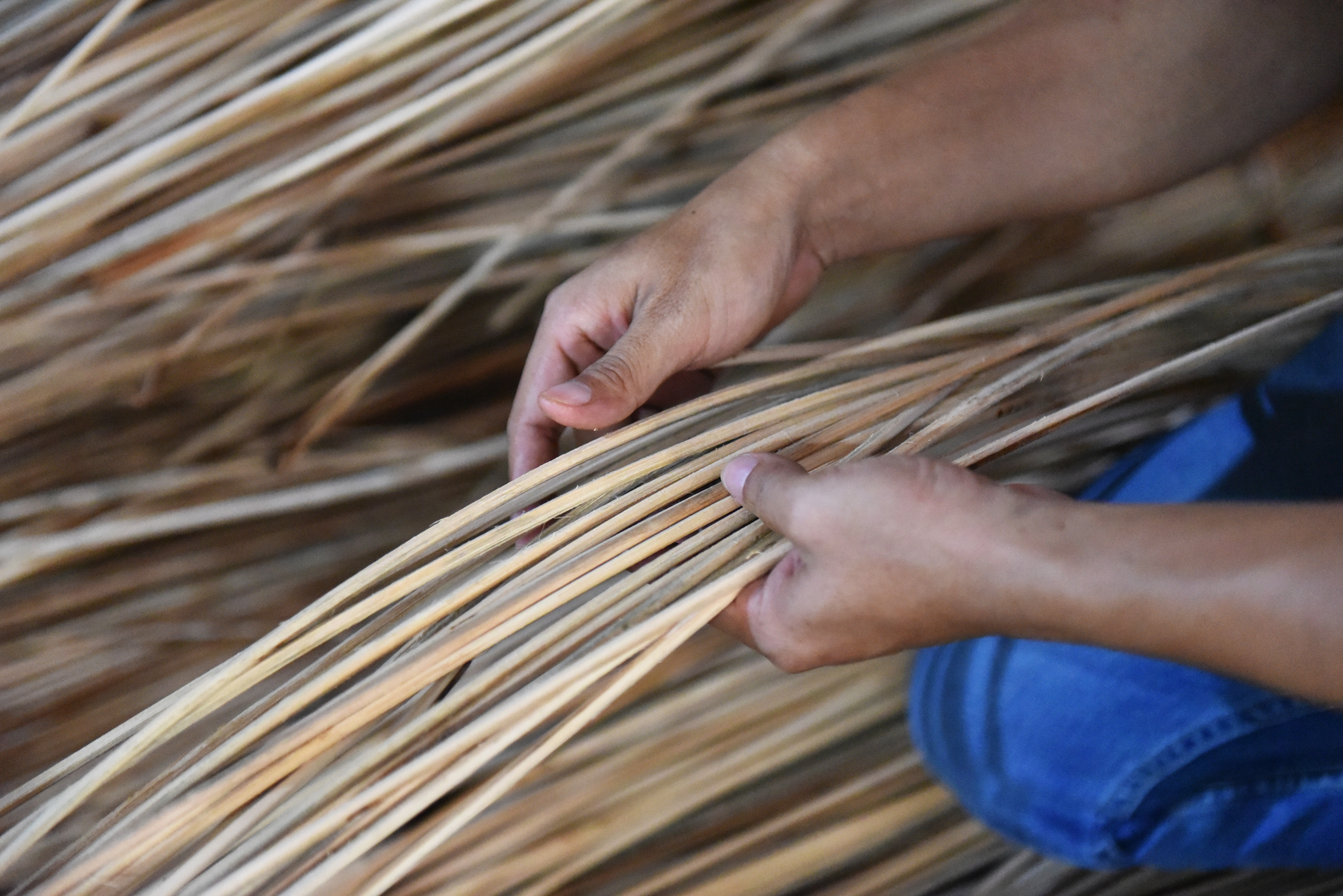 Rattan Shipment