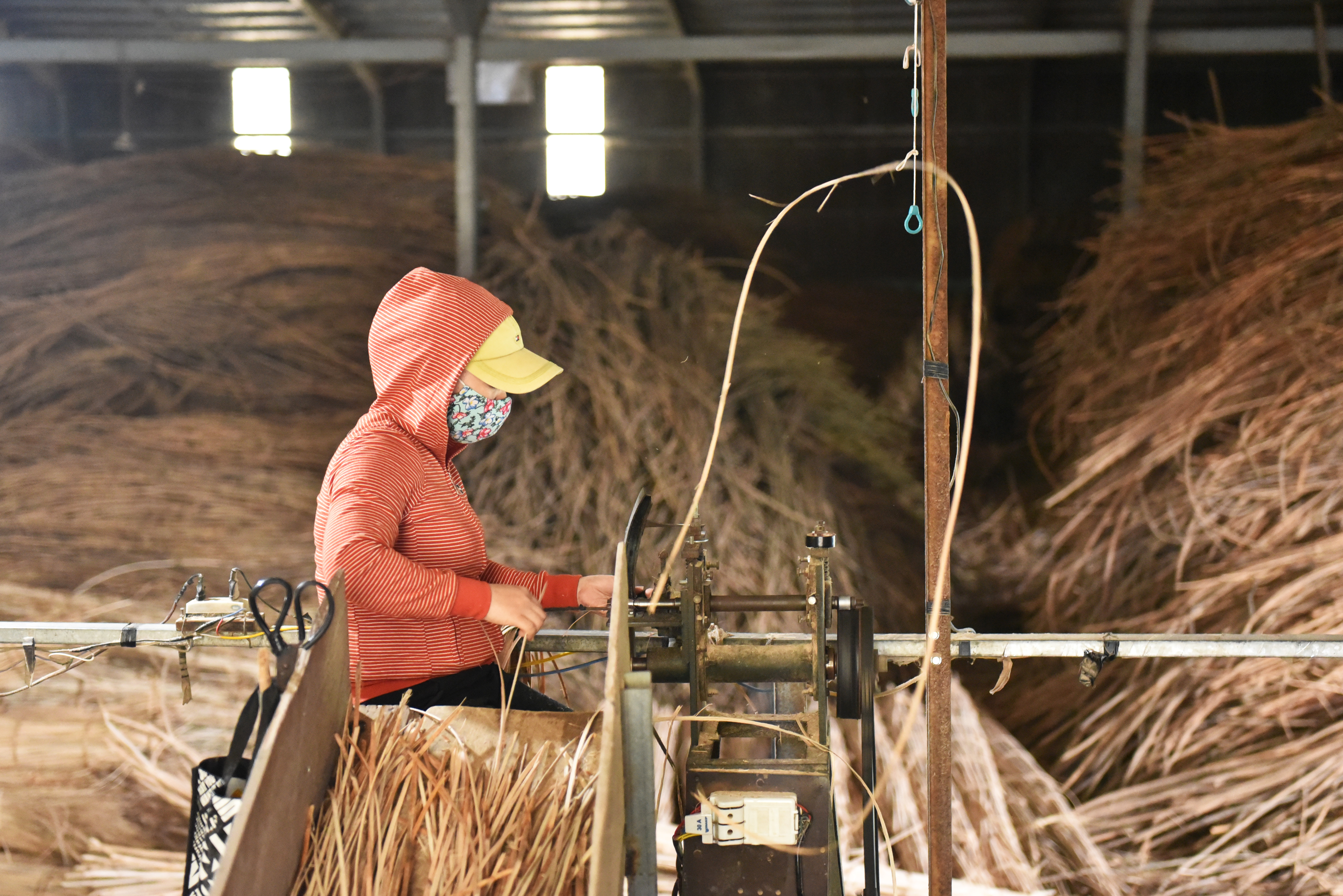 Processed Rattan Materials