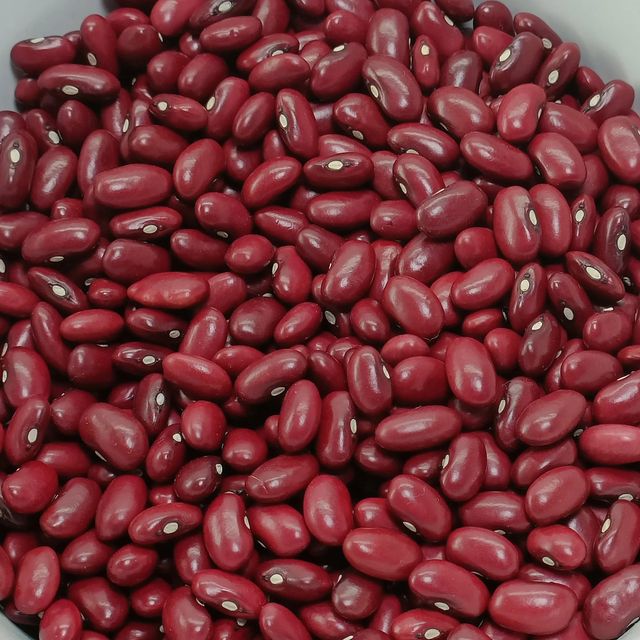 Cleaned Red Kidney Beans