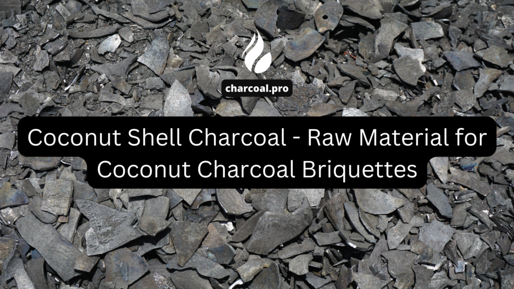 Coconut Shell Collection
