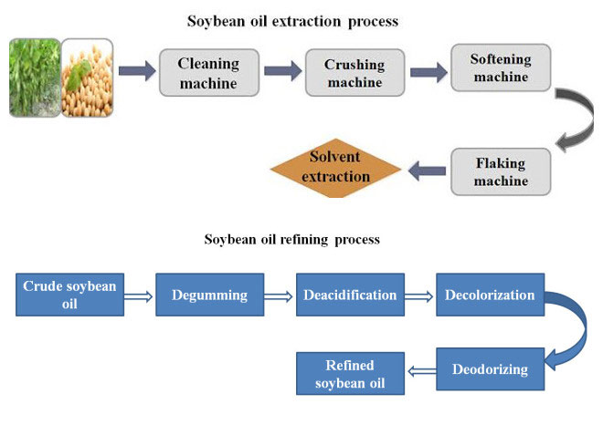 Soybean Extraction Process